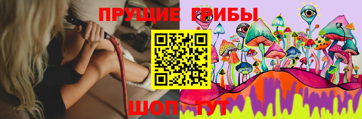Псилоцибиновые грибы прущие грибы  где можно купить наркотик  Нягань  Вход с VPN 